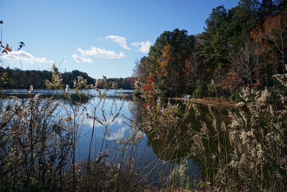 Hampton Roads, VA city page header image